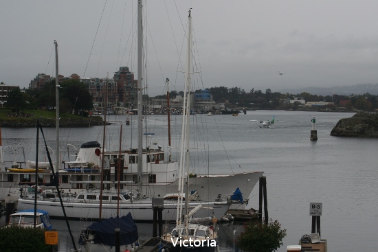 5021_victoria.jpg