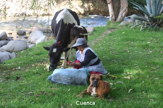 0150_cuenca.jpg