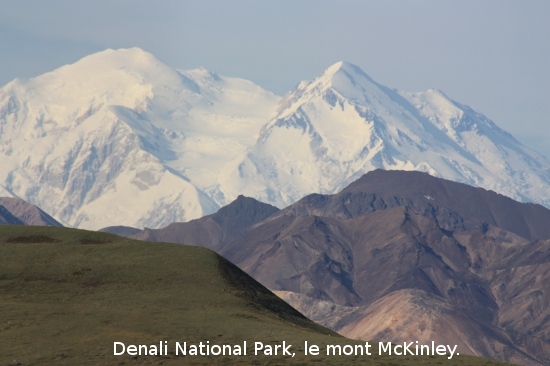 3149_denali_park.jpg