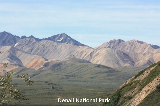 3186_denali_park.jpg