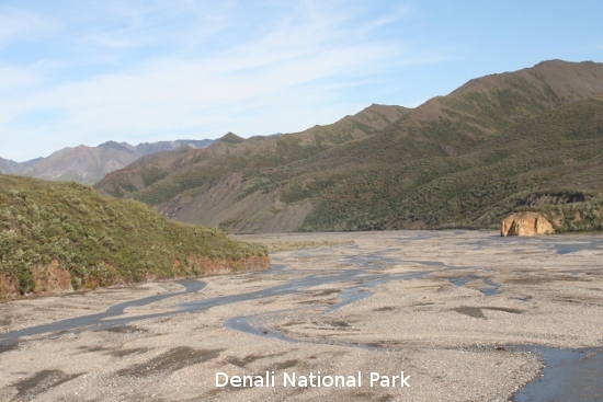 3195_denali_park.jpg