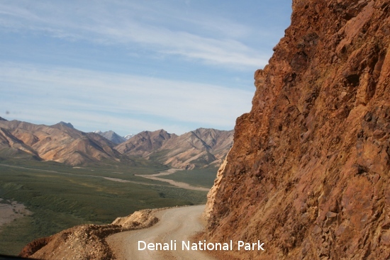 3203_denali_park.jpg