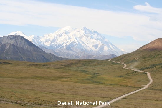 3254_denali_park.jpg