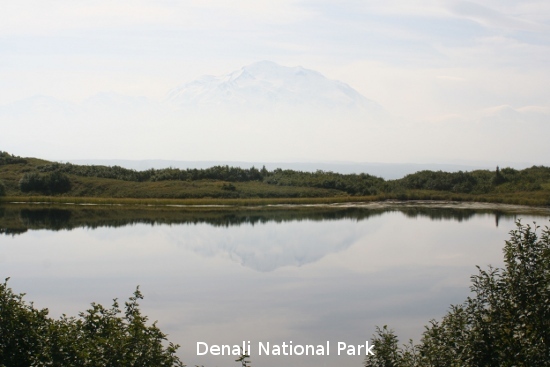 3279_denali_park.jpg