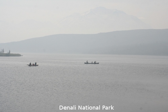 3281_denali_park.jpg