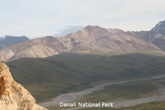 3322_denali_park.jpg