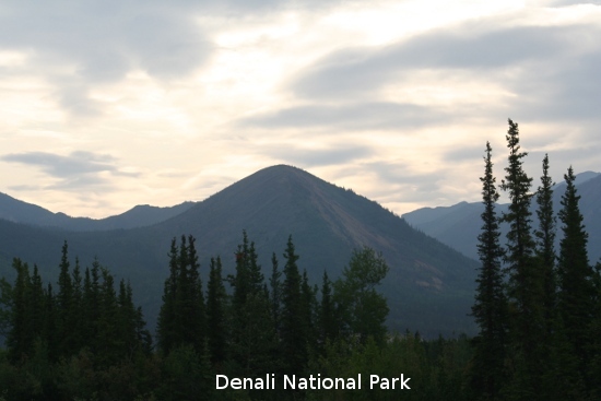 3370_denali_park.jpg