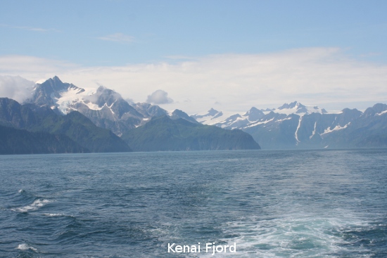 3561_kenai_fjord.jpg