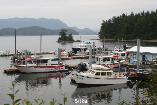 4244_sitka.jpg