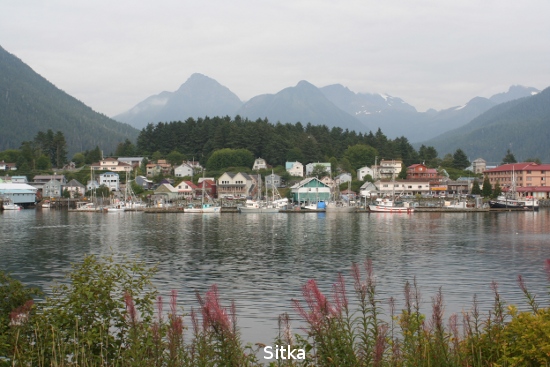 4245_sitka.jpg