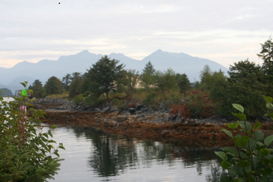 4269_sitka.jpg