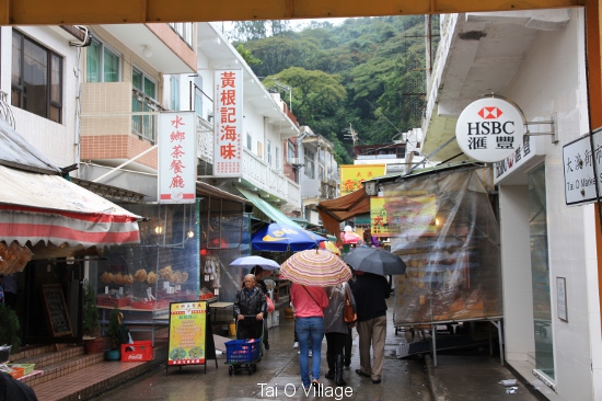 0173 tai o village