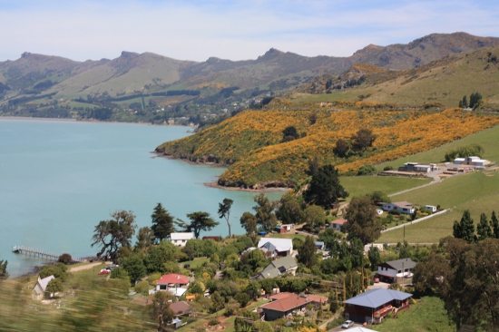 0187 lyttelton akaroa