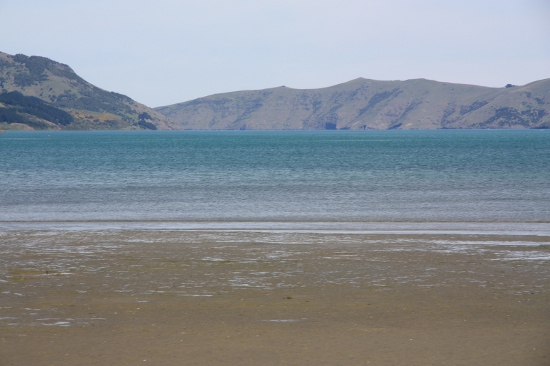 0229 lyttelton akaroa