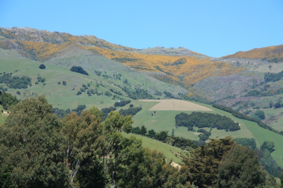 0239 lyttelton akaroa