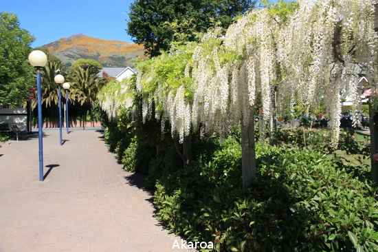 0250 akaroa