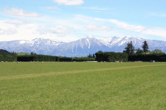 0285 christchurch arthurs pass