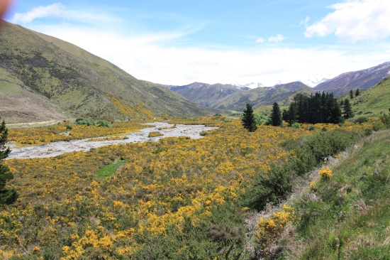 0305 christchurch arthurs pass