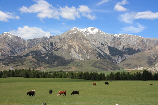 0331 christchurch arthurs pass