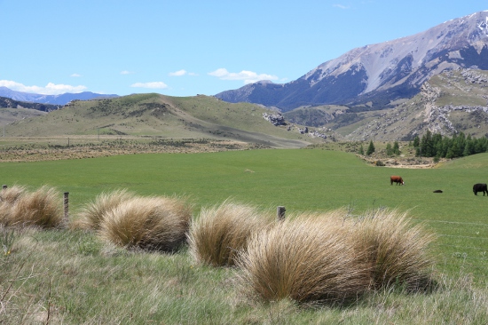 0333 christchurch arthurs pass