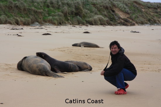 0958 catlins coast