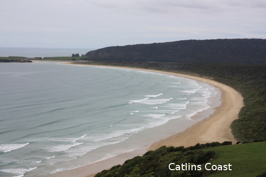 0998 catlins coast