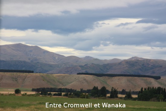 1136b cromwell wanaka