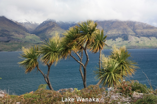 1188 lake wanaka