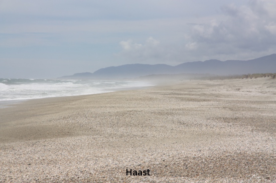 1220 haast