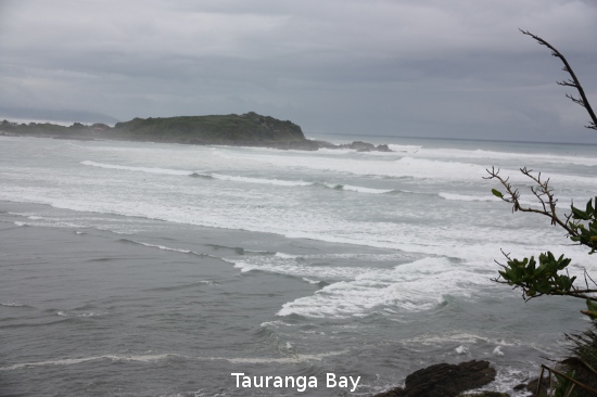 1460 tauranga bay