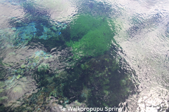 1658g te waikoropupu spring