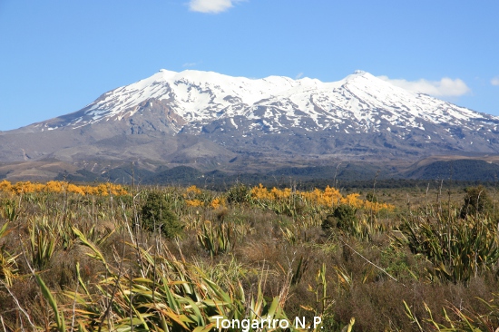 2148 tongariro