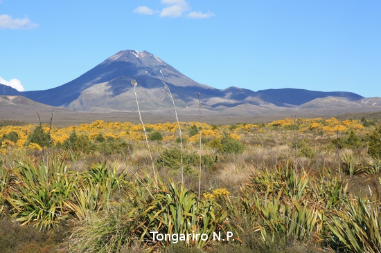 2157 tongariro