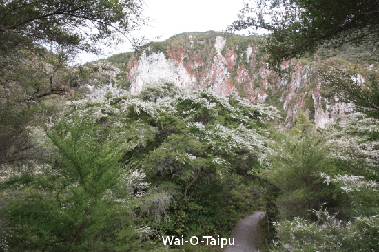 2347 wai o tapu