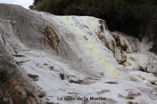 2441a wai o tapu 2