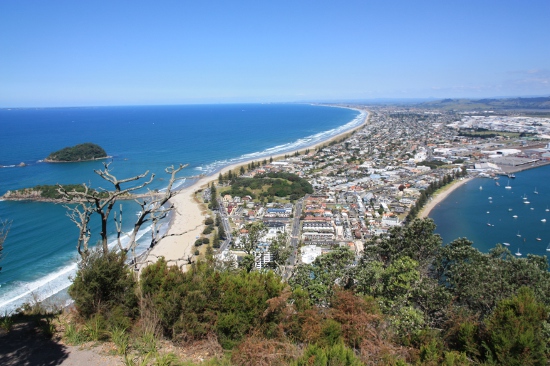 2779 mount maunganui