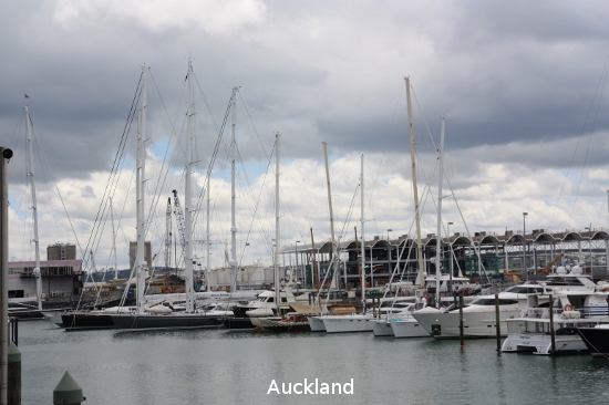 2814 auckland