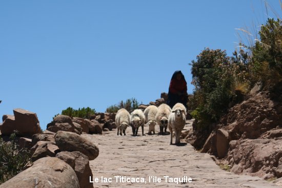 0077_lago_titicaca.jpg