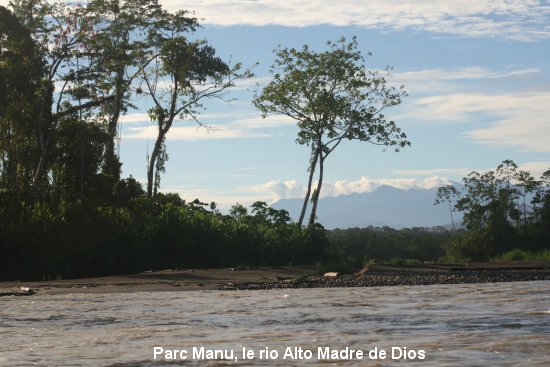 1560_rio_alto_madre_de_dios.jpg