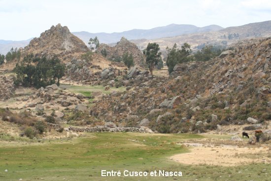 1863_de_cusco__nasca.jpg