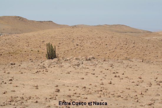 1892_de_cusco__nasca.jpg