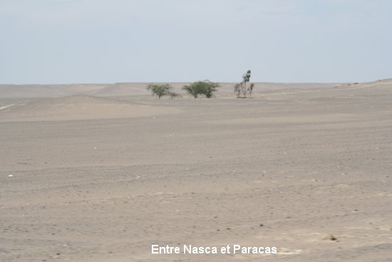 2073_de_nasca__paracas.jpg