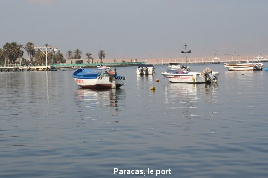 2082_paracas.jpg