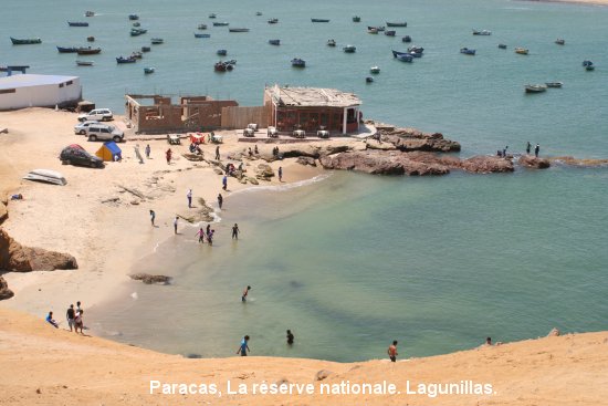 2269_paracas.jpg