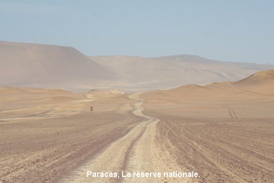 2289_paracas.jpg