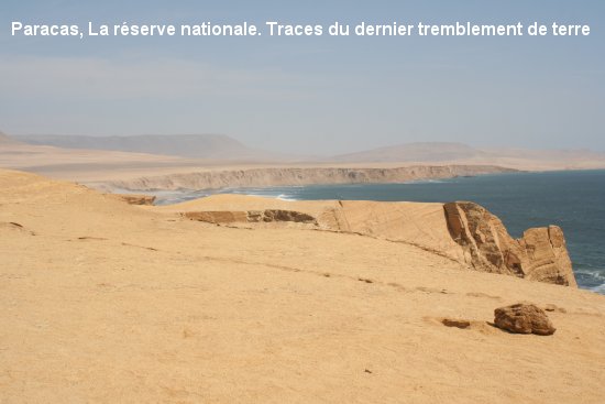 2321_paracas.jpg