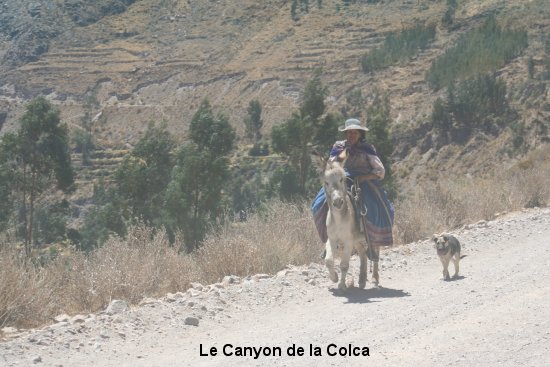 302_canyon_de_colca.jpg