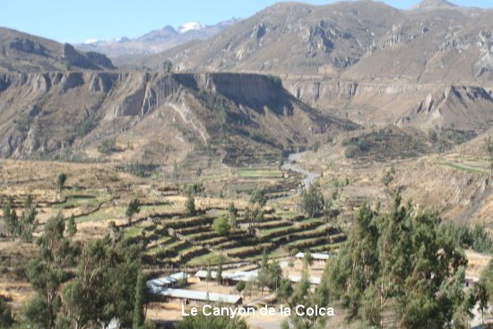 319_canyon_de_colca.jpg