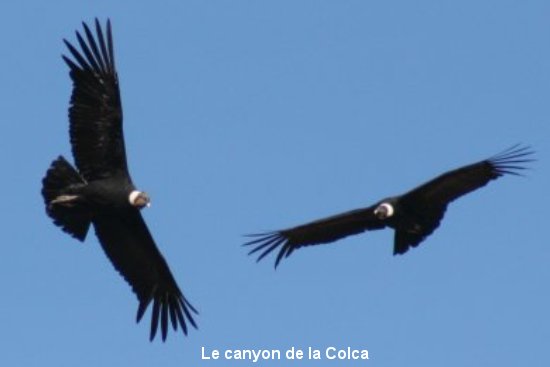 350_cruz_del_condor.jpg