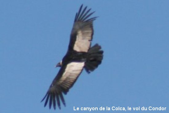 351_cruz_del_condor.jpg